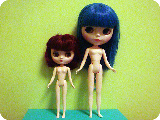 Middie best sale blythe custom